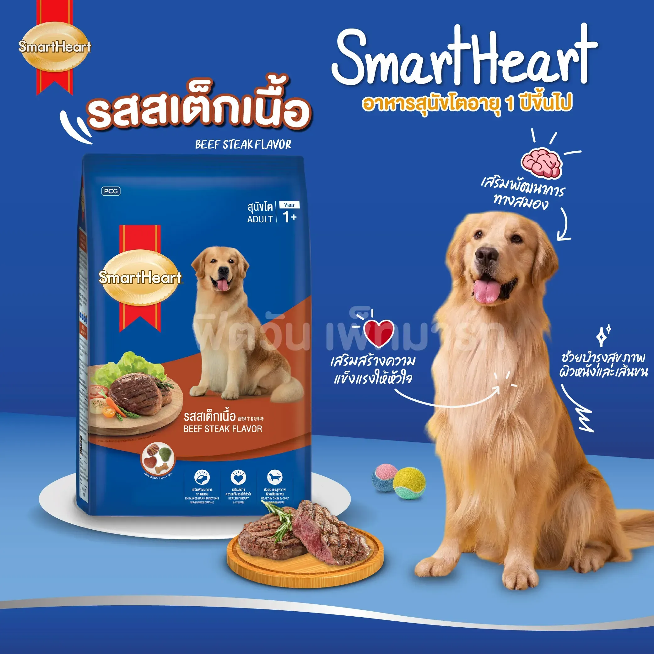 Smartheart Adult อาหารสุนัข สำหรับสุนัขโตพันธุ์กลาง-ใหญ่