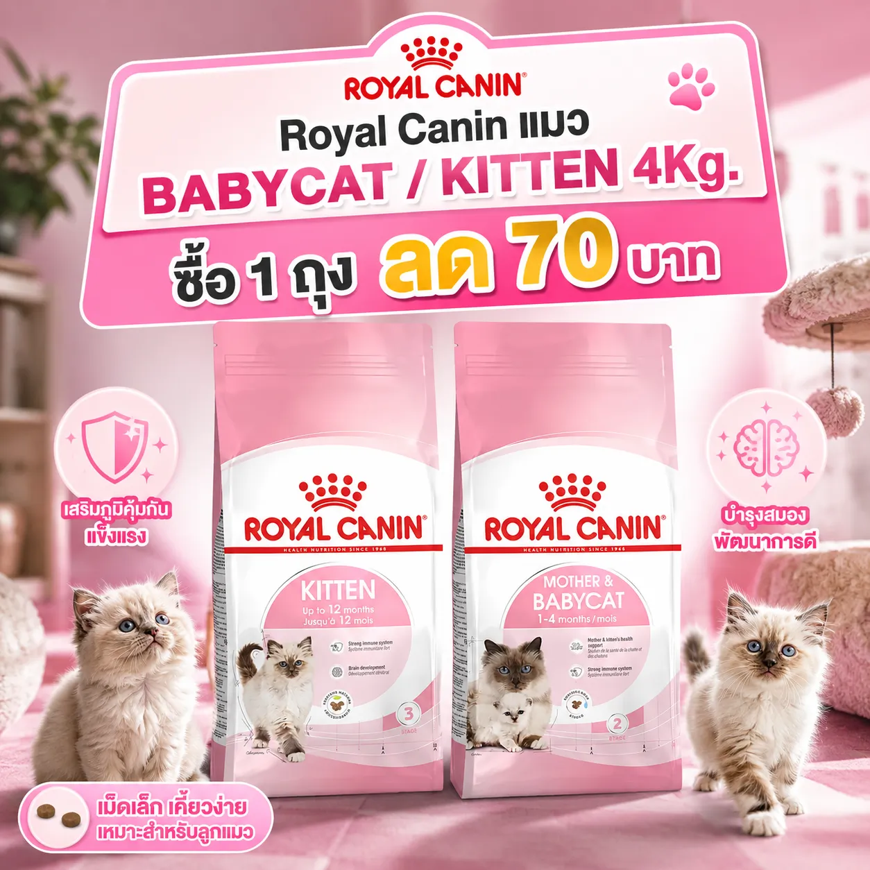  ซื้อ 1 ถุง ลด 70฿