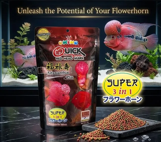 OKIKO QUICK RED อาหารเม็ด สำหรับปลาหมอสี เร่งสีแดงพิเศษ ปรับสมดุลลำไส้