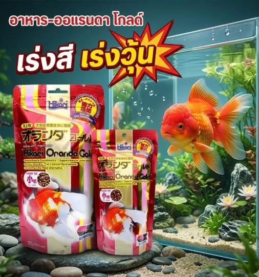 Hikari Oranda Gold อาหารปลาทองสูตรเร่งสีและวุ้น (เม็ดลอย)