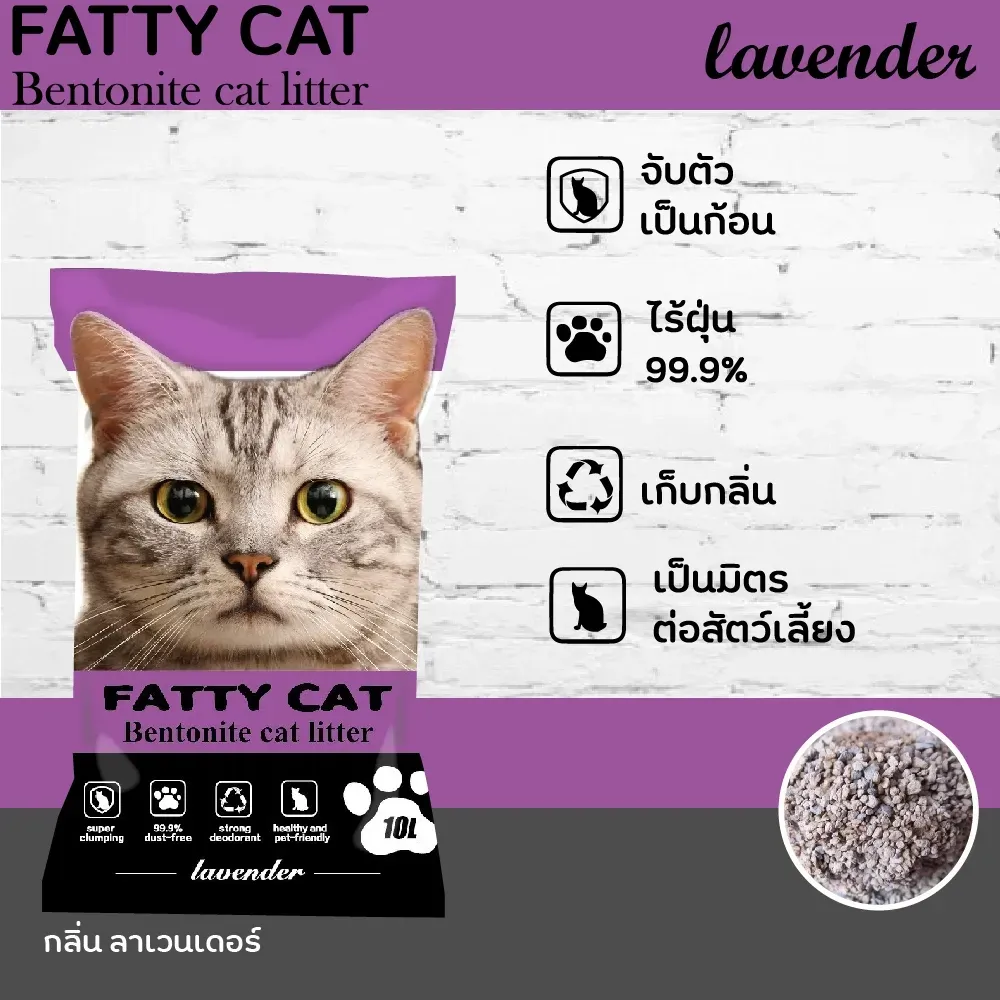 Fatty Cat ทรายแมว
