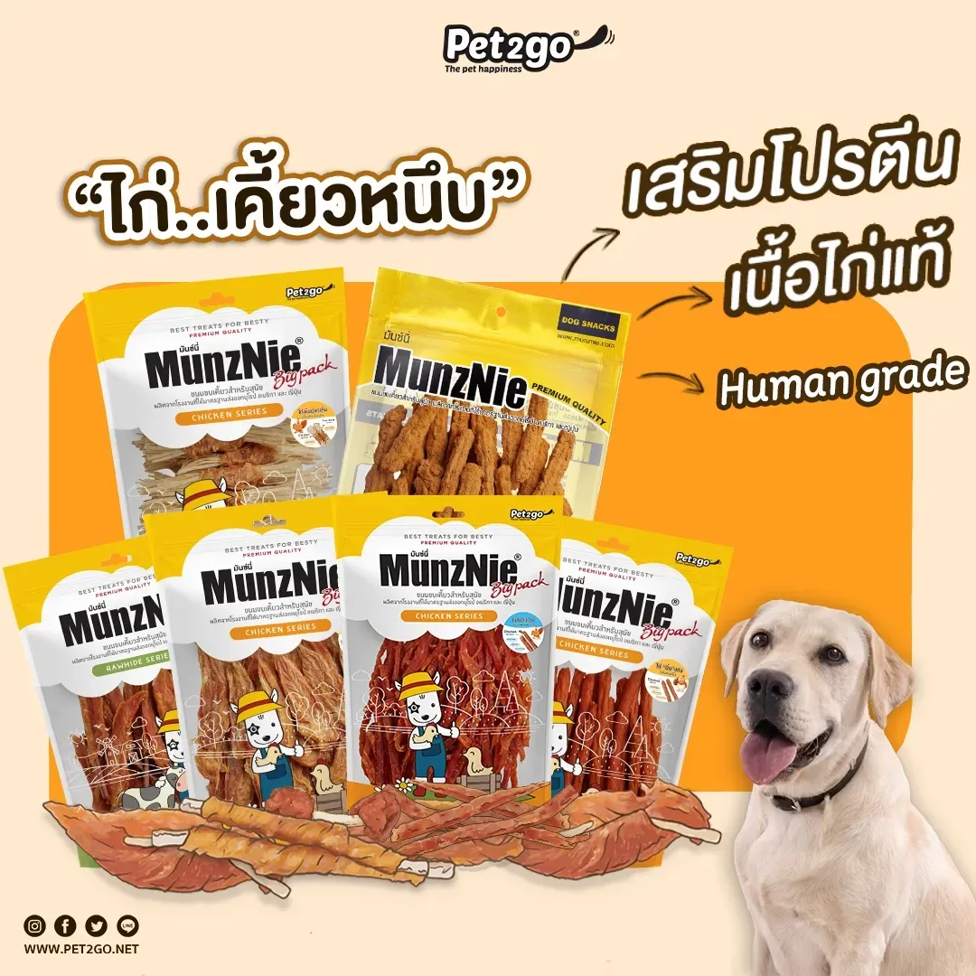 Munznie ขนมสุนัขสันในไก่ คละแบบ