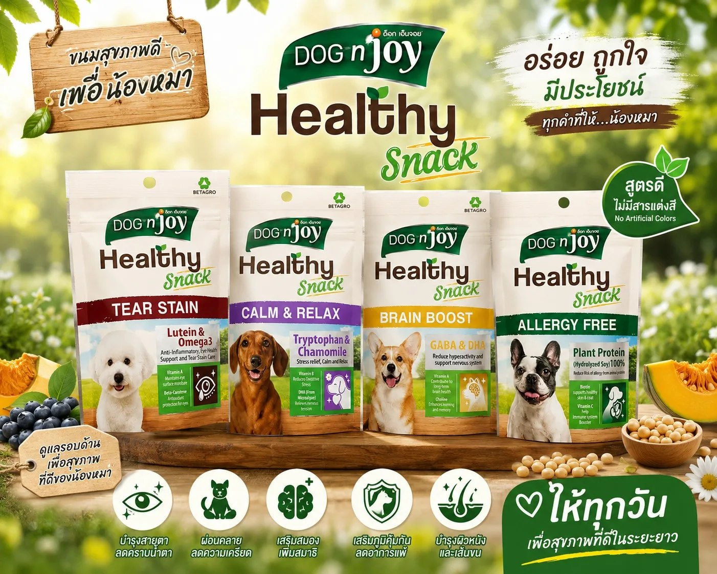 DOG 'n joy Healthy Snack (4 สูตร)