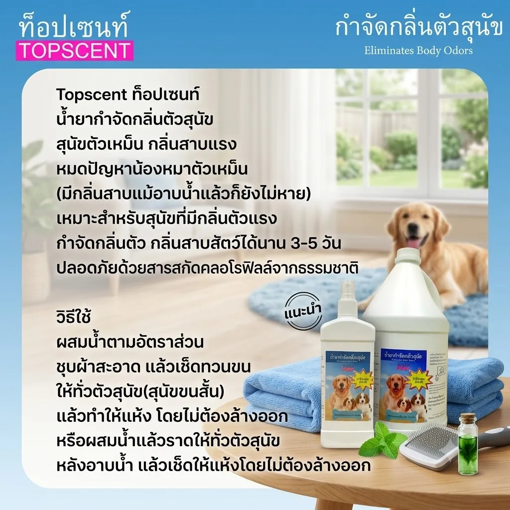 TopScent น้ำยาเช็ดตัว กำจัดกลิ่น สำหรับสุนัข