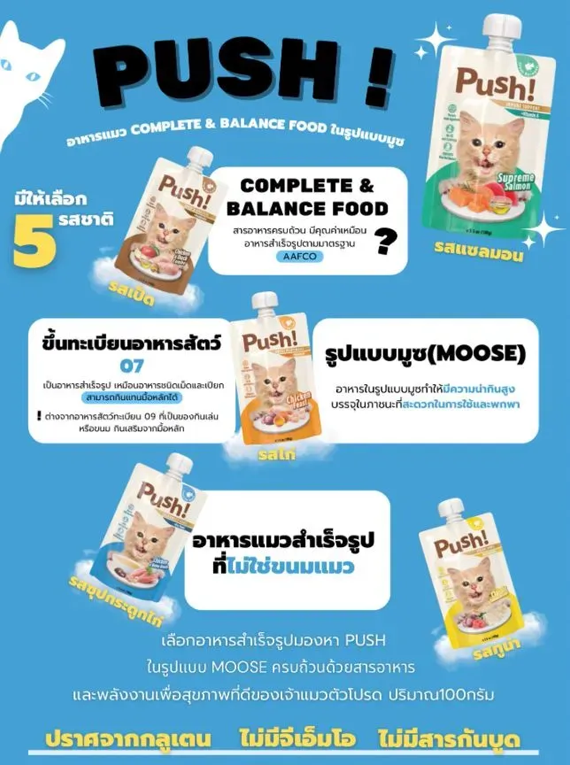 Push อาหารเปียกแมว แบบซองบีบ 100g.
