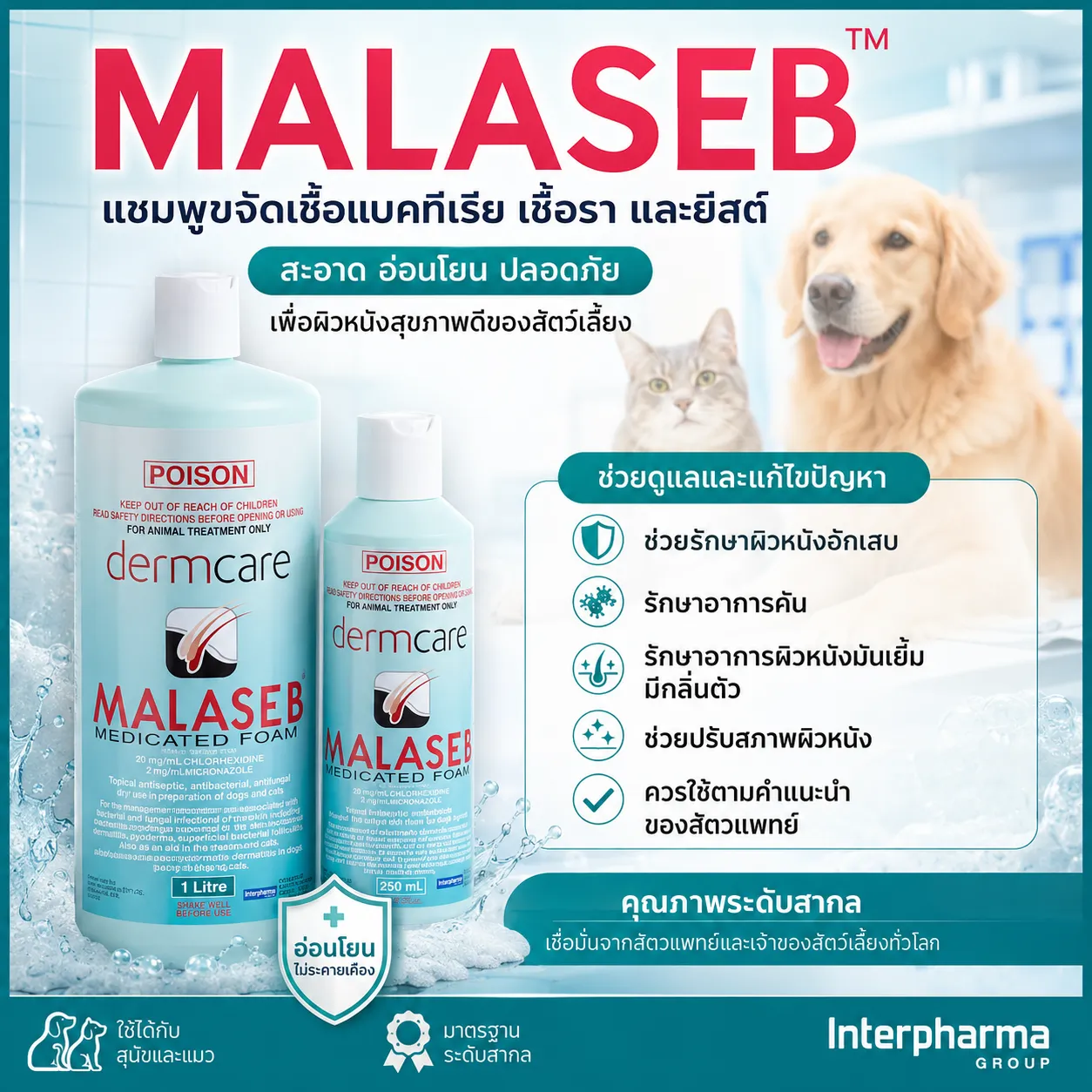 MALASEB แชมพูรักษาโรคผิวหนังจากเชื้อราและแบคทีเรีย สำหรับสัตว์เลี้ยง 250ml.