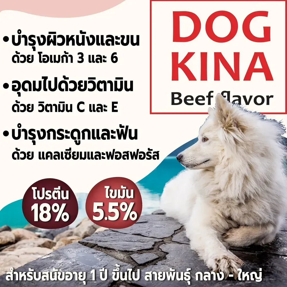 Gm Dog Kina อาหารสุนัข 20Kg