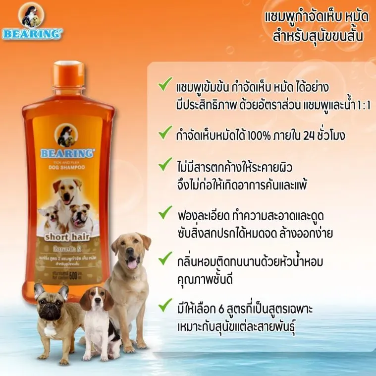 Bearing แชมพูกำจัดเห็บ หมัด สำหรับสุนัข