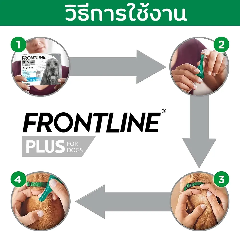 Frontline Plus สำหรับสุนัข (แบบหยดหลังคอ)