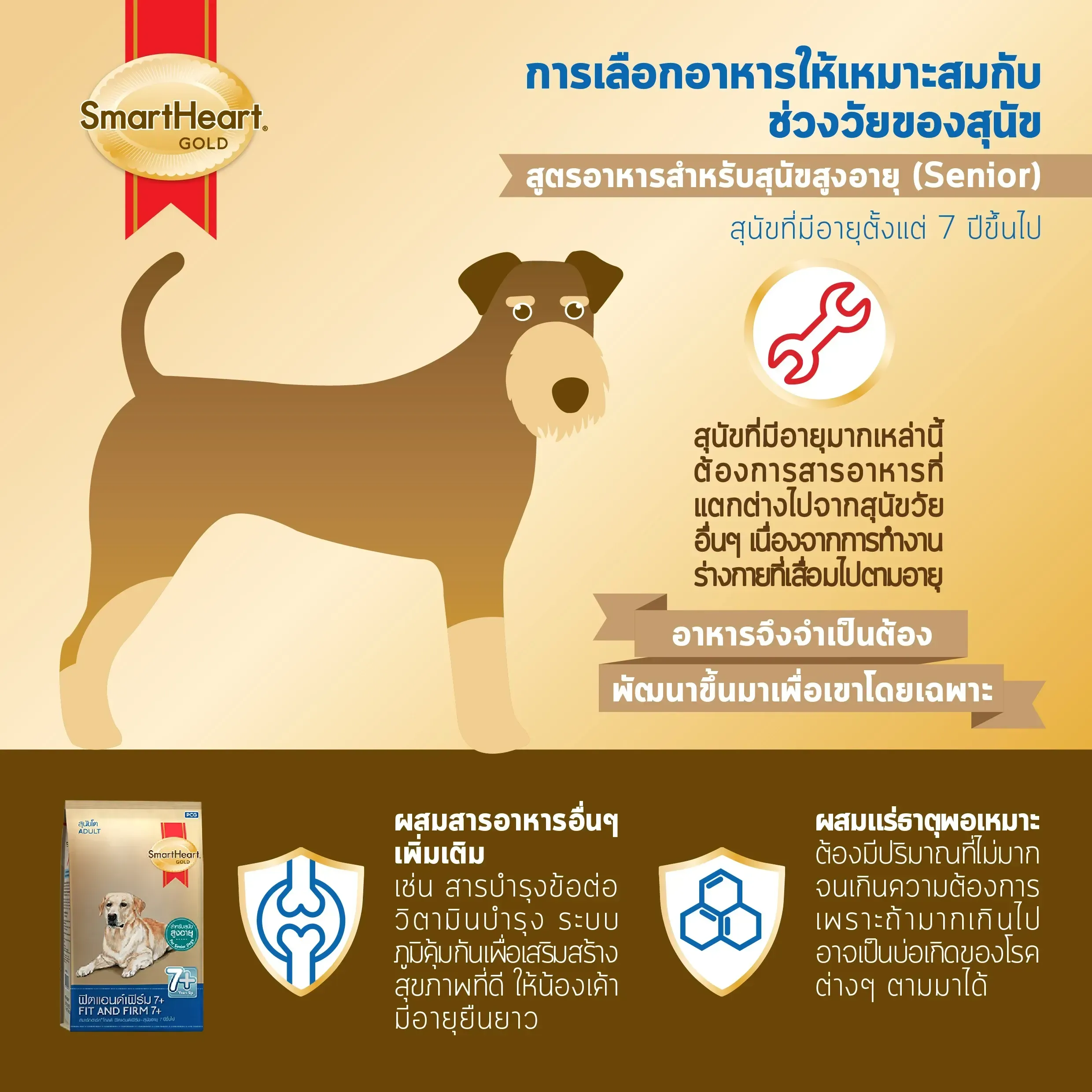 Smartheart Gold Fit & Firm 7+ อาหารเม็ดสำหรับสุนัขโตพันธุ์ใหญ่สูงวัย 7 ปีขึ้นไป