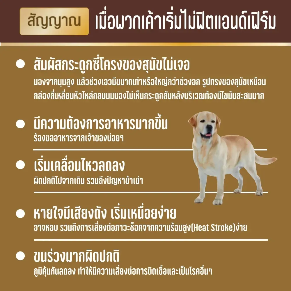 Smartheart Gold Fit & Firm อาหารเม็ดสำหรับสุนัขโตพันธุ์ใหญ่
