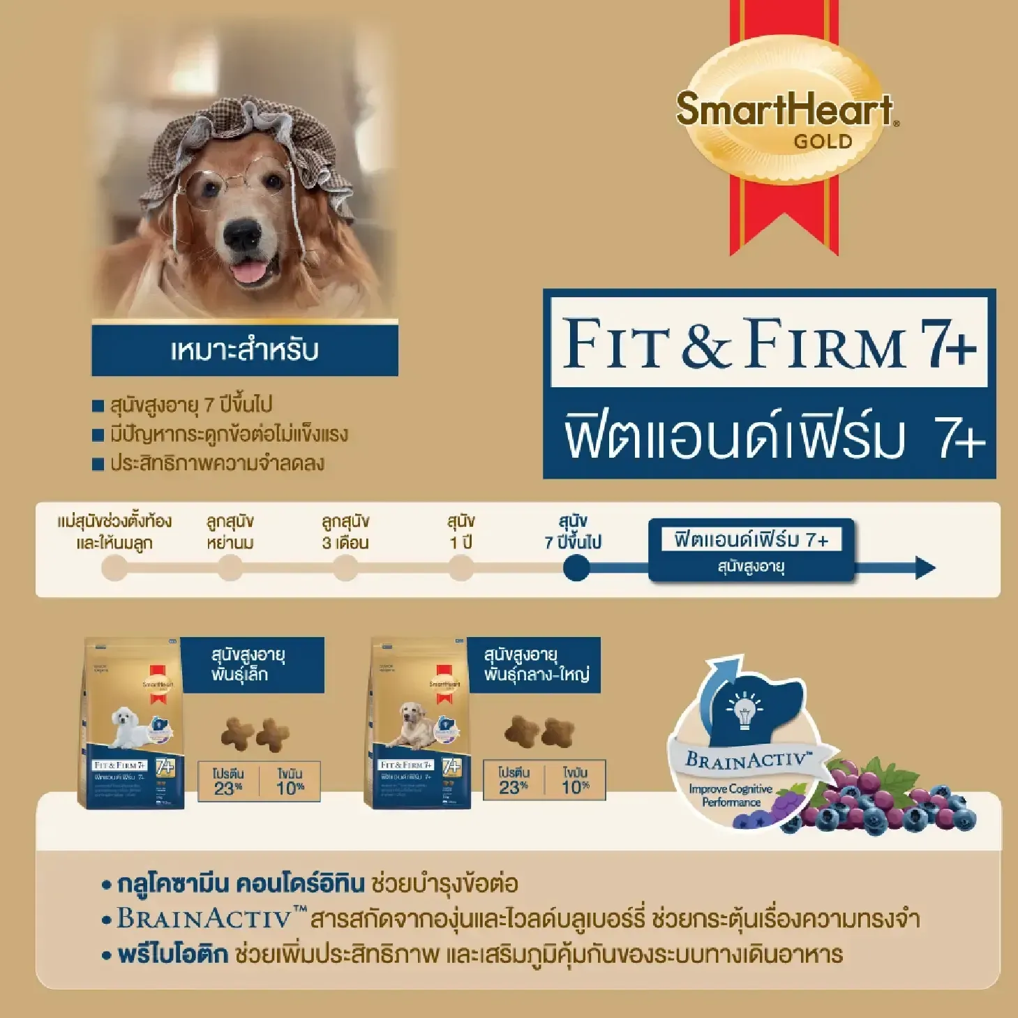 Smartheart Gold Fit & Firm 7+ อาหารเม็ดสำหรับสุนัขโตพันธุ์เล็กสูงวัย 7 ปีขึ้นไป