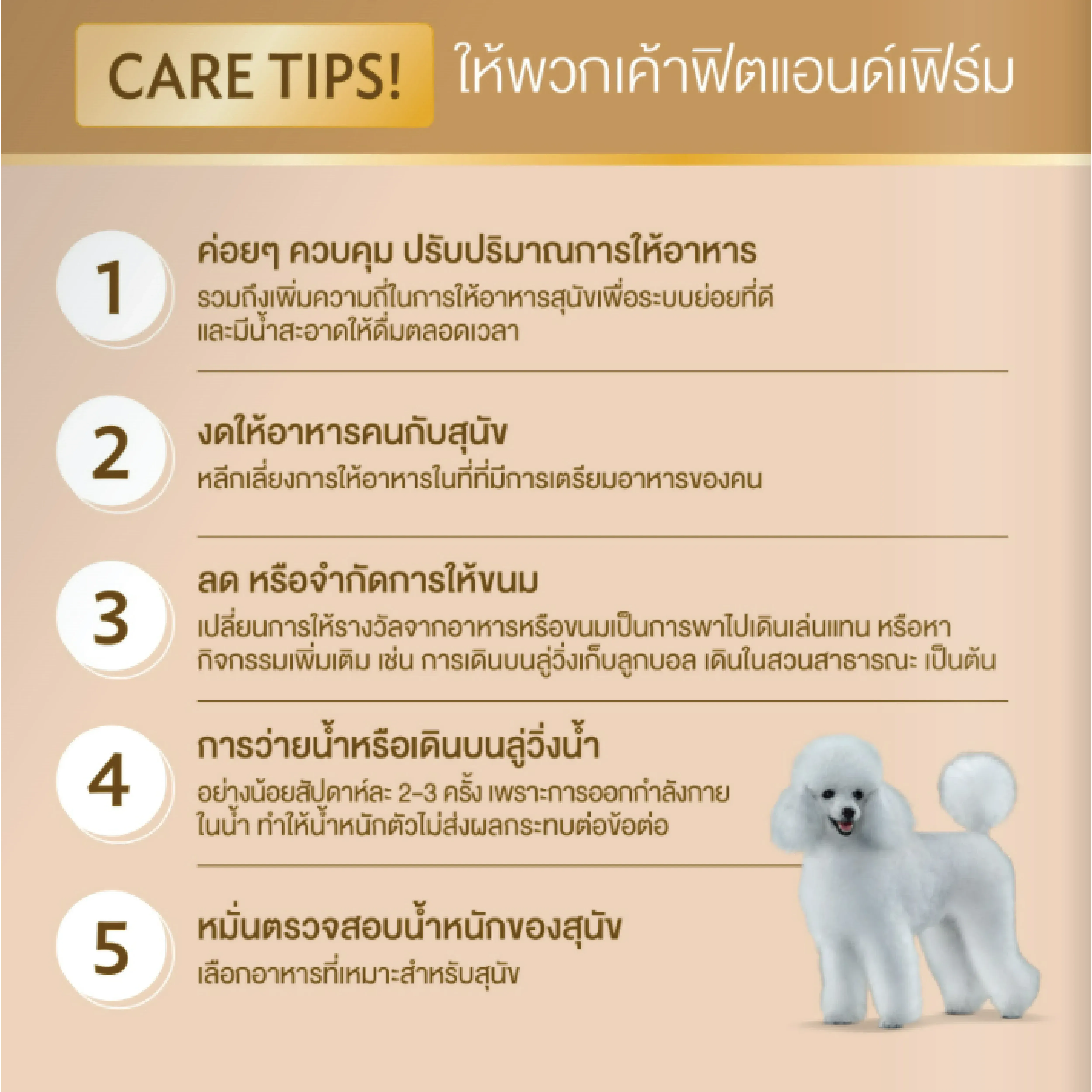 Smartheart Gold Fit & Firm อาหารเม็ดสำหรับสุนัขโตพันธุ์เล็ก