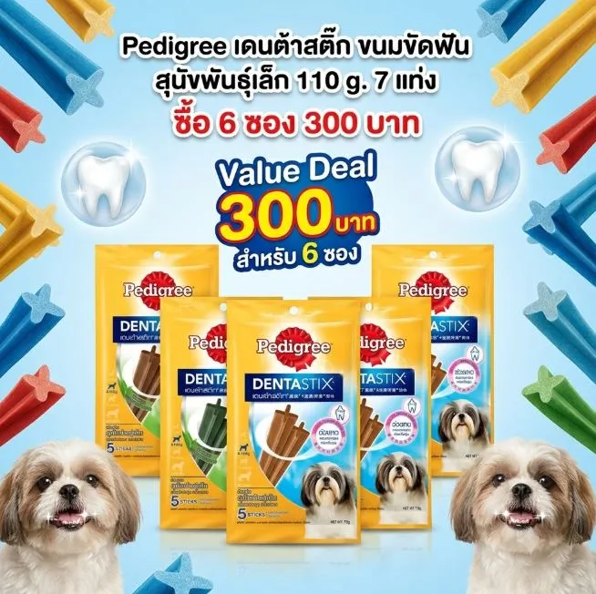 ซื้อ 6ชิ้น 300฿