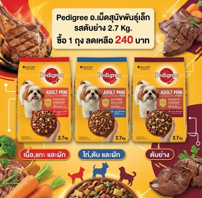 ซื้อ 1 ชิ้น 240฿