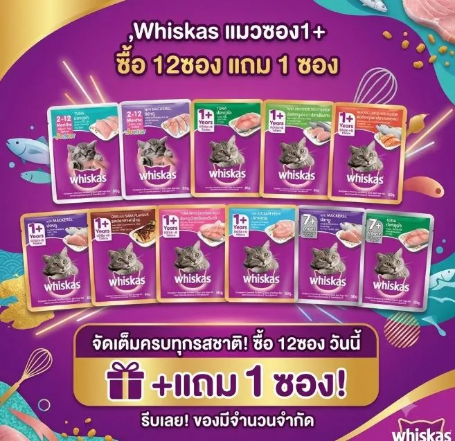 ซื้อ 12ซอง แถม 1