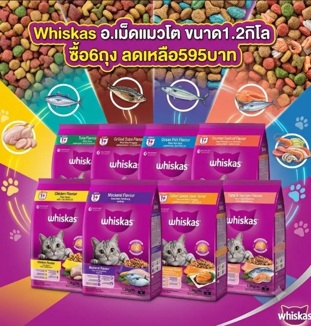 ซื้อ 6 ชิ้น 595฿