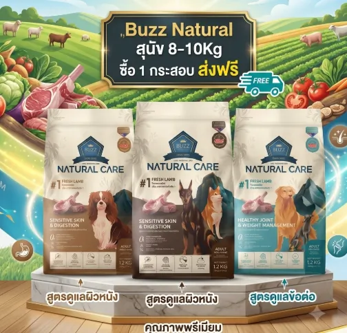ซื้อ 1 ชิ้น ส่งฟรี
