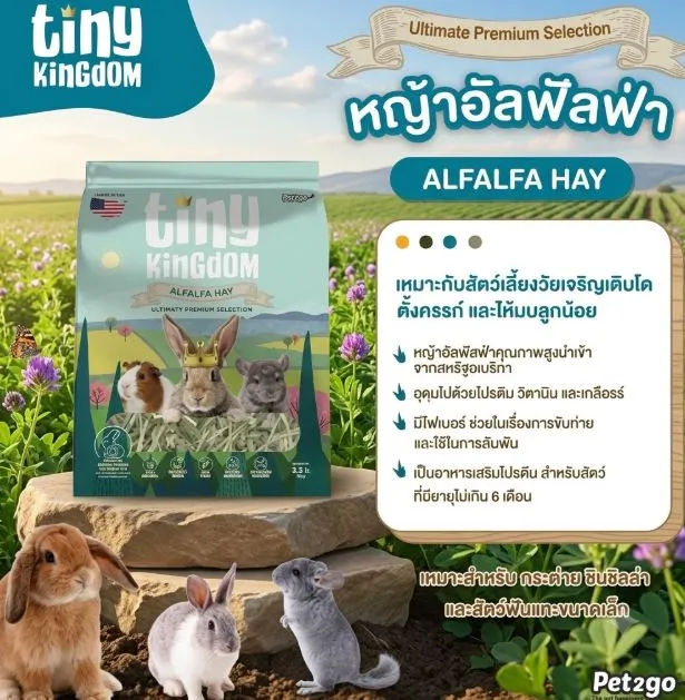 Tiny Kingdom หญ้าอัลฟัลฟ่า อัลติเมทพรีเมียม