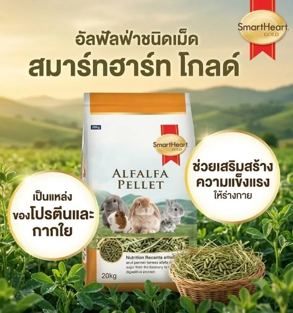 Smartheart Gold Alfalfa Pellet หญ้าอัลฟัลฟ่า ชนิดเม็ด