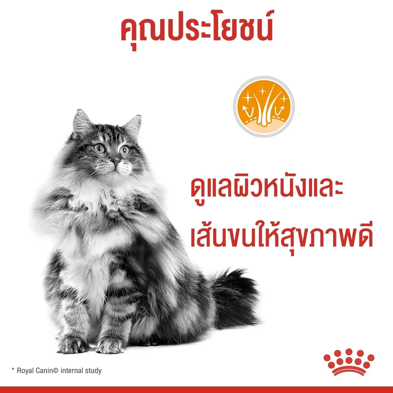 Royal Canin Pouch อาหารเปียกแมวซอง สูตร Hair&Skin 85 g