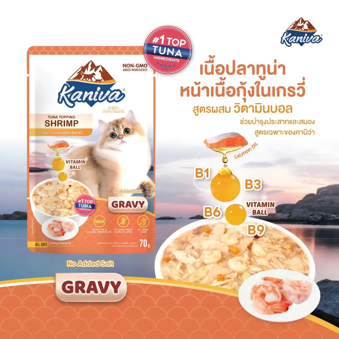 Kaniva Cat Wet Food Pouch 70G