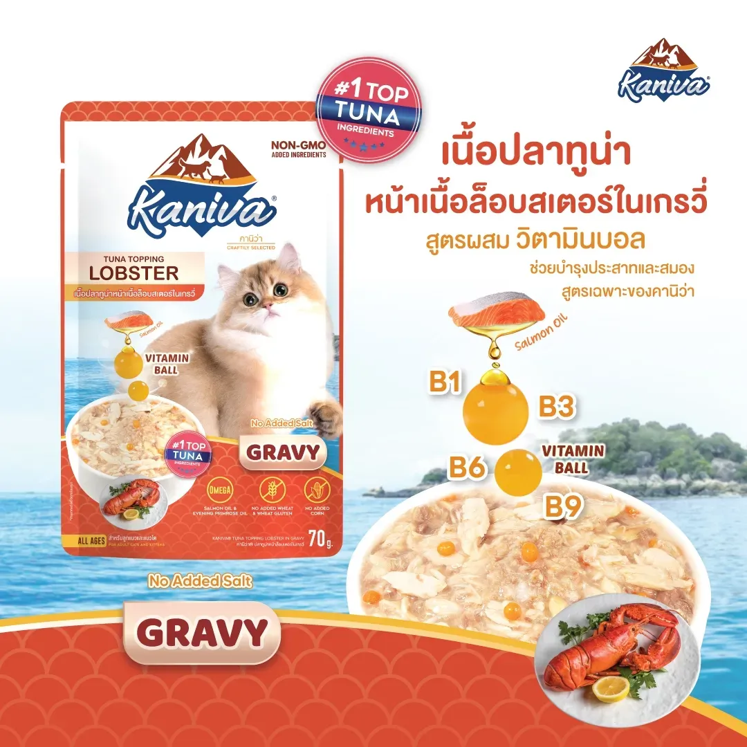 Kaniva Cat Wet Food Pouch 70G