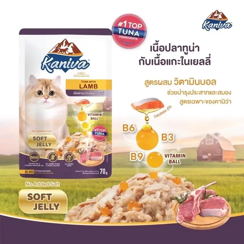 Kaniva Cat Wet Food Pouch 70G