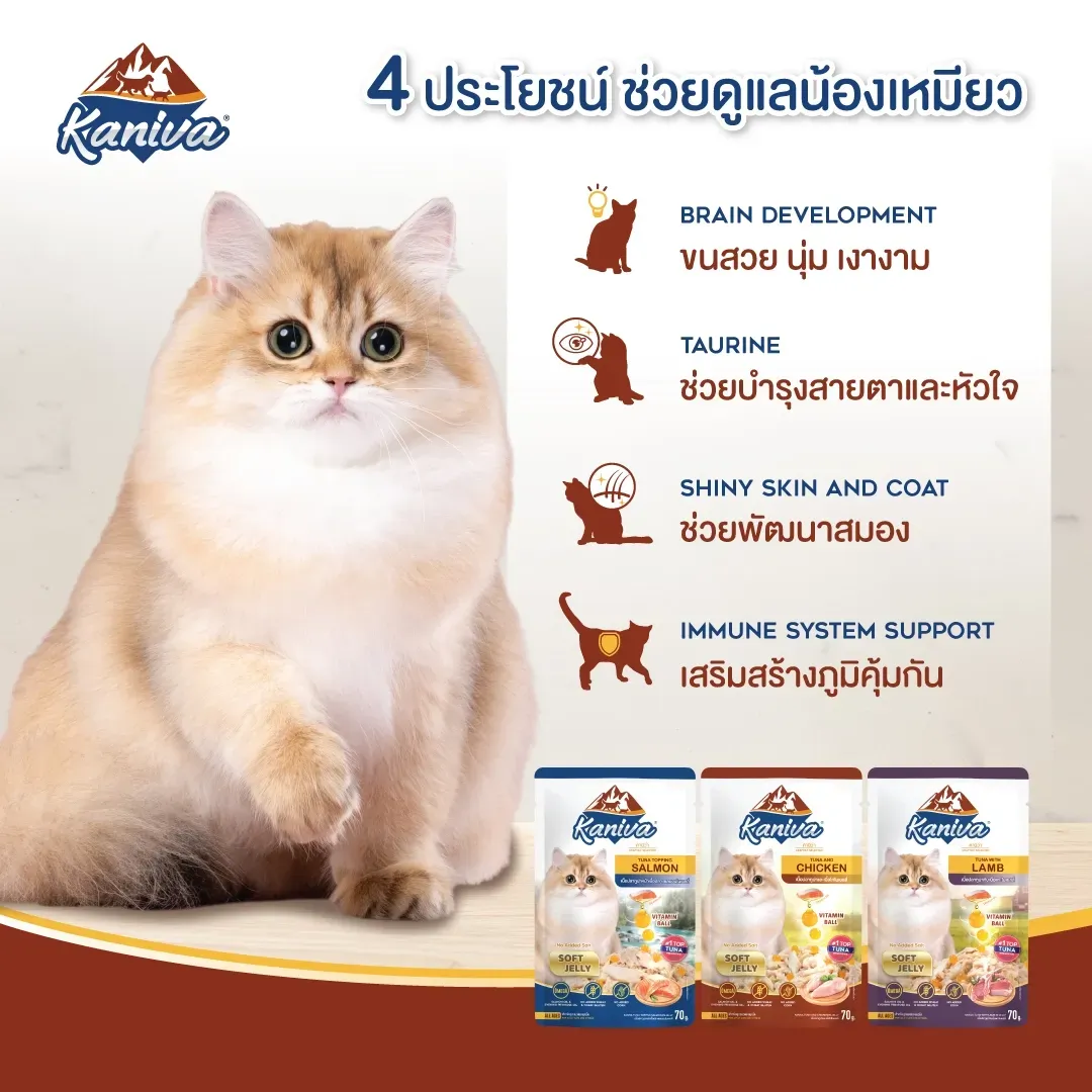 Kaniva Cat Wet Food Pouch 70G