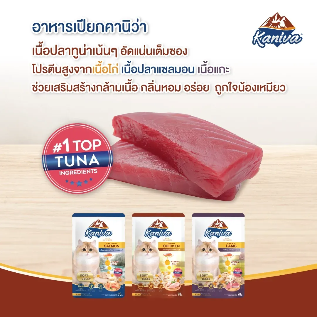 Kaniva Cat Wet Food Pouch 70G