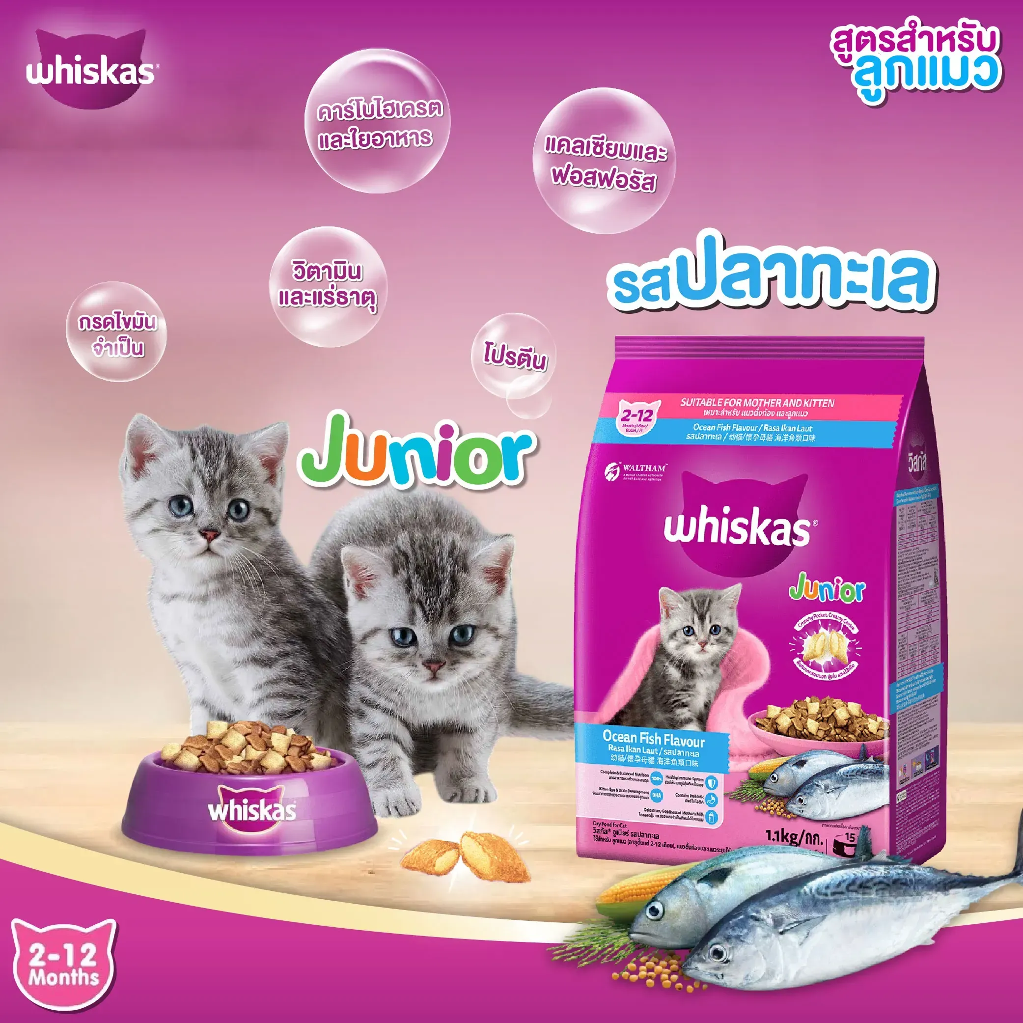 Whiskas Junior อาหารเม็ดสำหรับลูกแมว