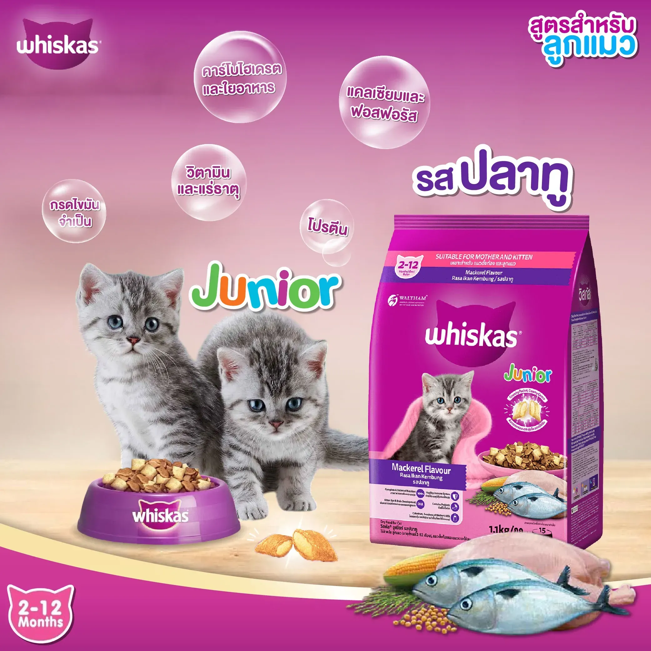 Whiskas Junior อาหารเม็ดสำหรับลูกแมว