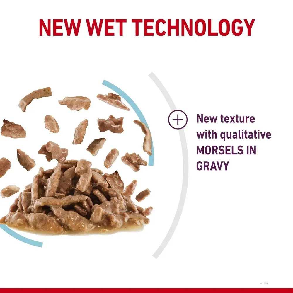 Royal Canin Pouch อาหารเปียกแมวซอง สูตร Sensory Feel 85 g
