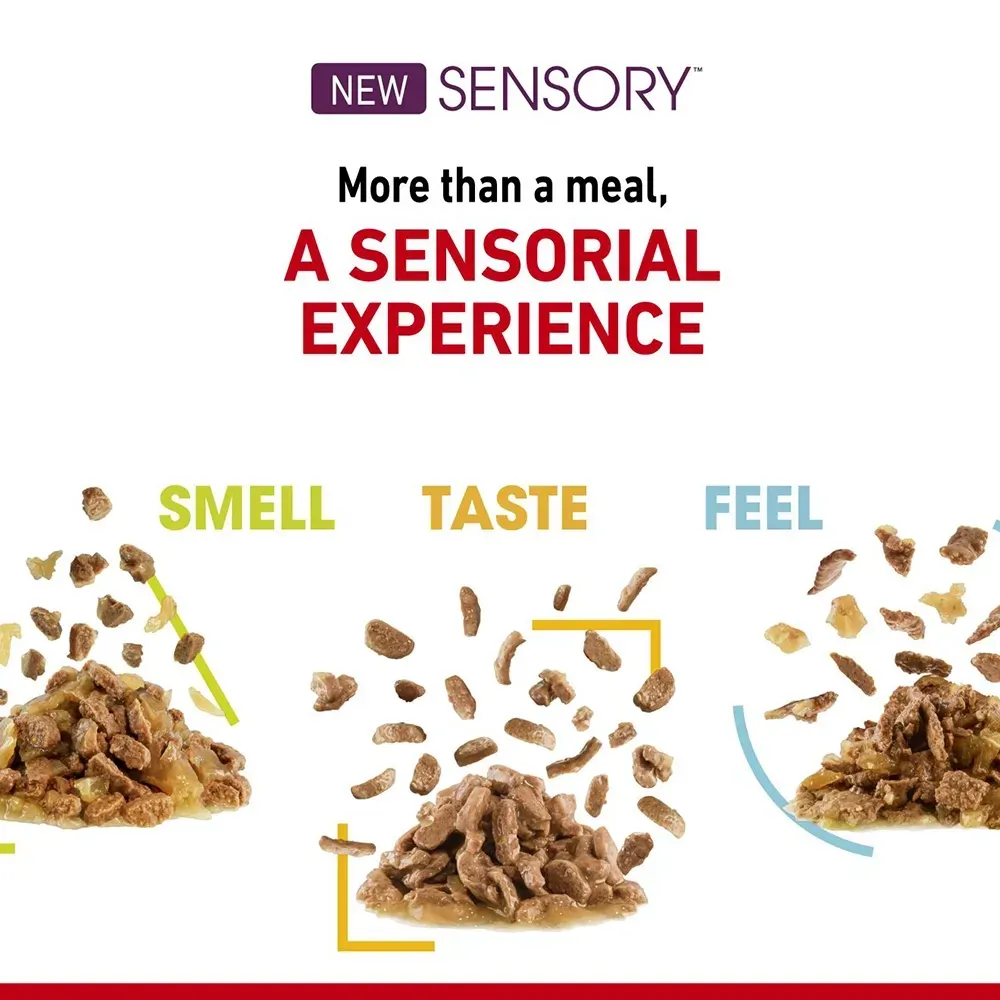 Royal Canin Pouch อาหารเปียกแมวซอง สูตร Sensory Feel 85 g