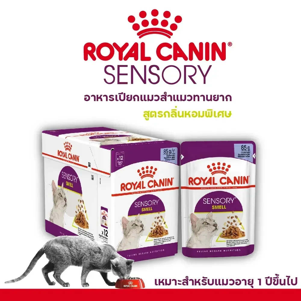 Royal Canin Pouch อาหารเปียกแมวซอง สูตร Sensory Smell 85 g