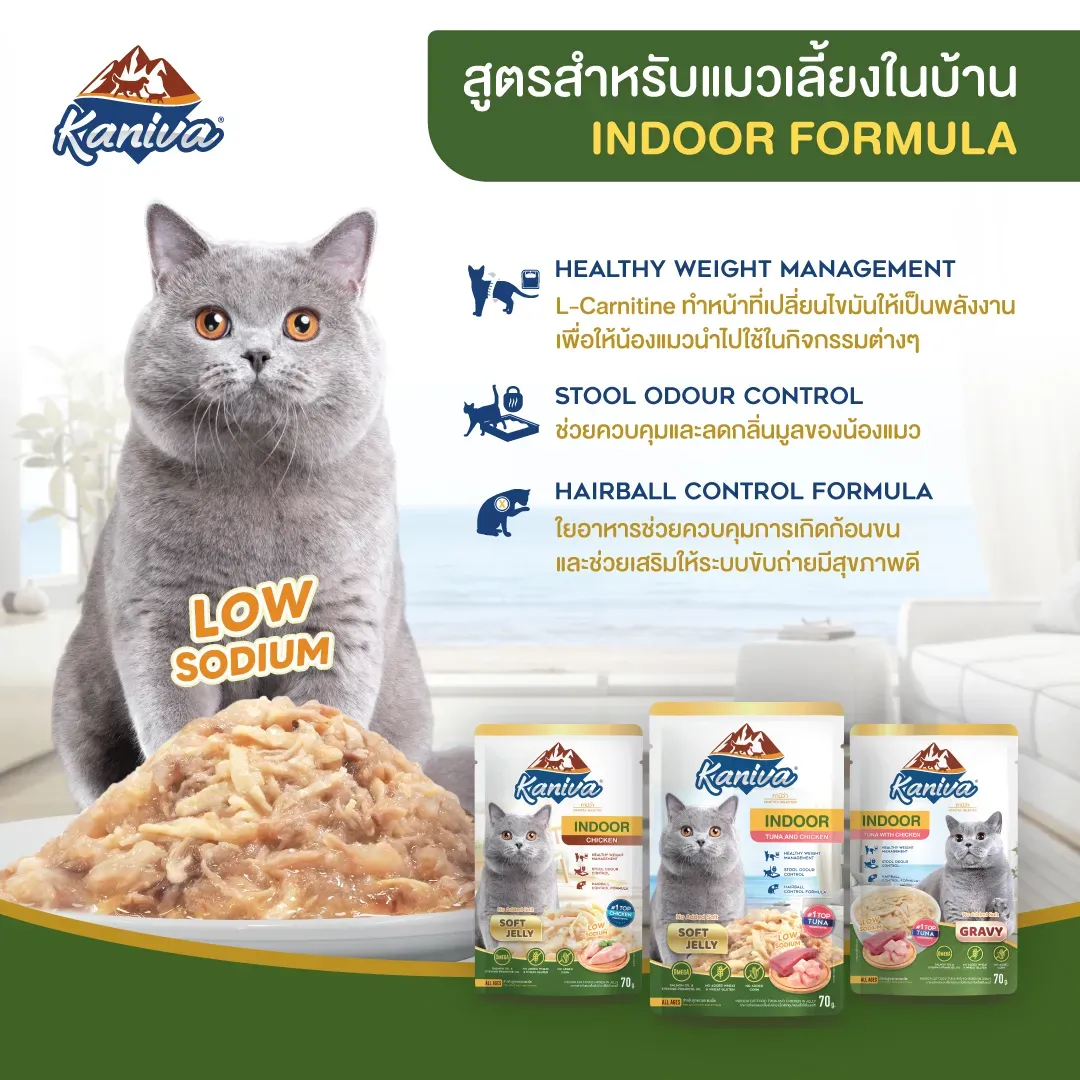 Kaniva Indoor Cat Wet Food Pouch 70G