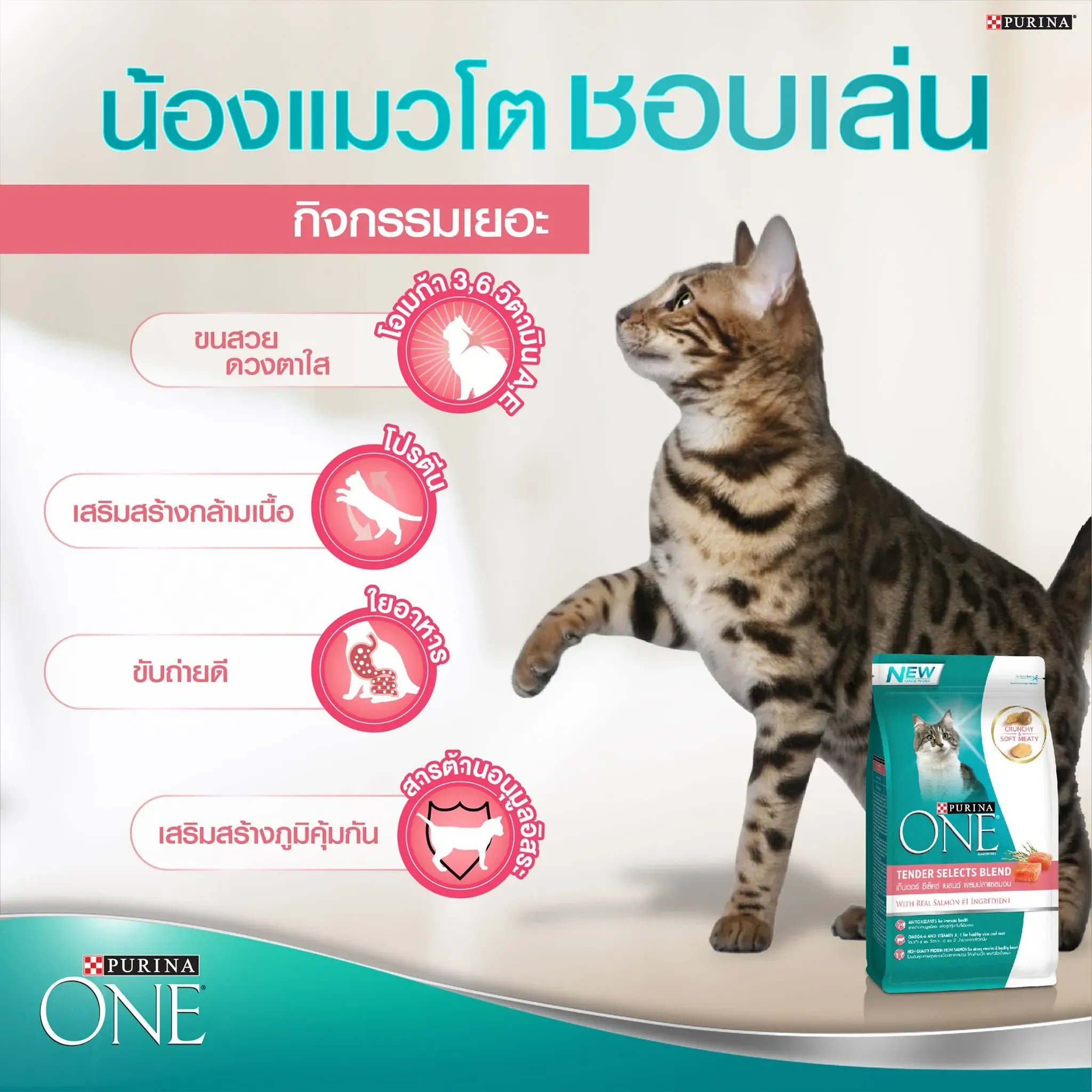 Purina One Salmon & Tuna อาหารแมวโต สูตรปลาแซลมอนและทูน่า