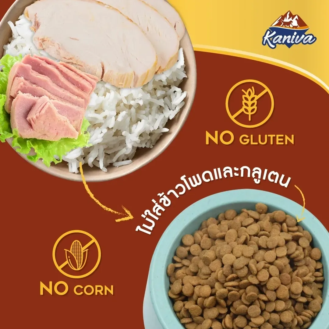 Kaniva Indoor Cat Formula สูตรแมวเลี้ยงในบ้าน