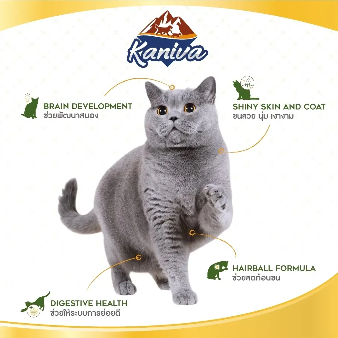 Kaniva Indoor Cat Formula สูตรแมวเลี้ยงในบ้าน