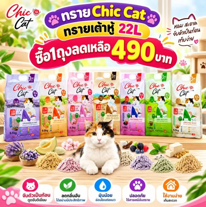  ซื้อ1ถุง  490บาท