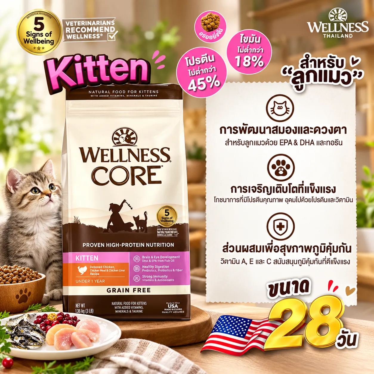Wellness Core อาหารแมวเม็ด สูตร Kitten