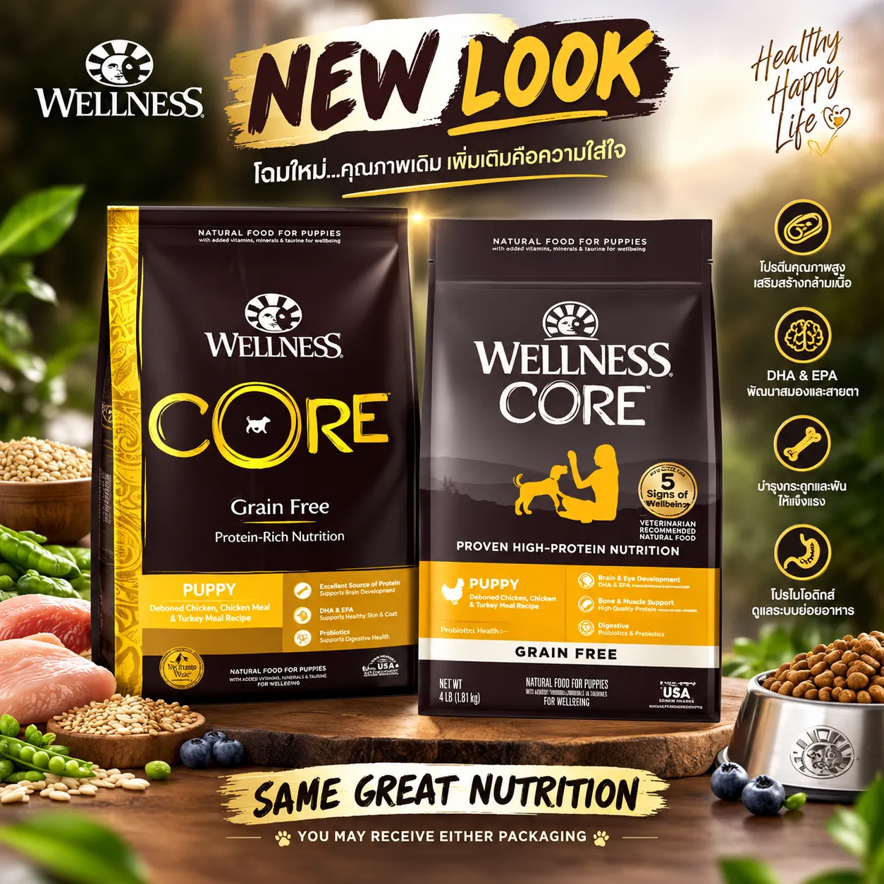Wellness Core อาหารสุนัข สูตร Puppy