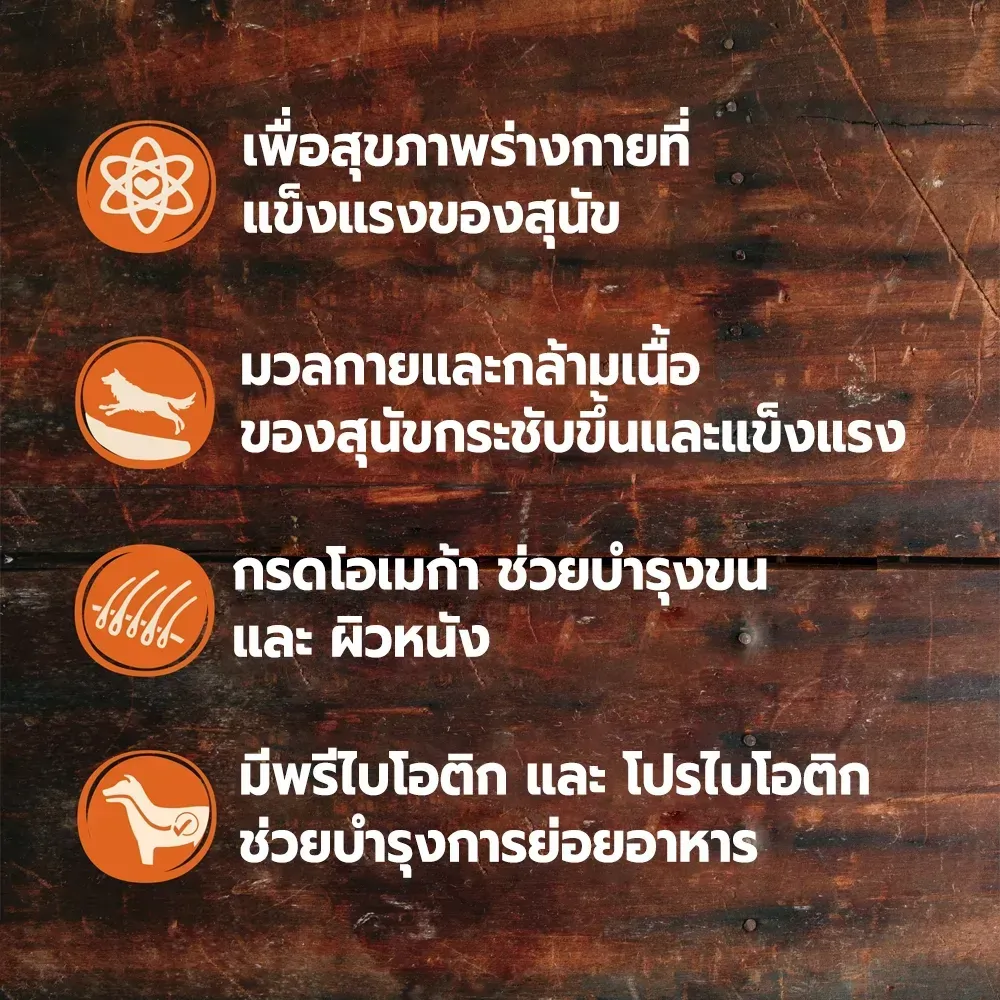 Wellness Core อาหารสุนัข สูตร Puppy
