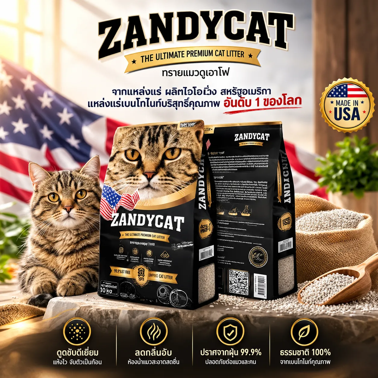 Zandycat ทรายแมวภูเขาไฟ สูตร Original