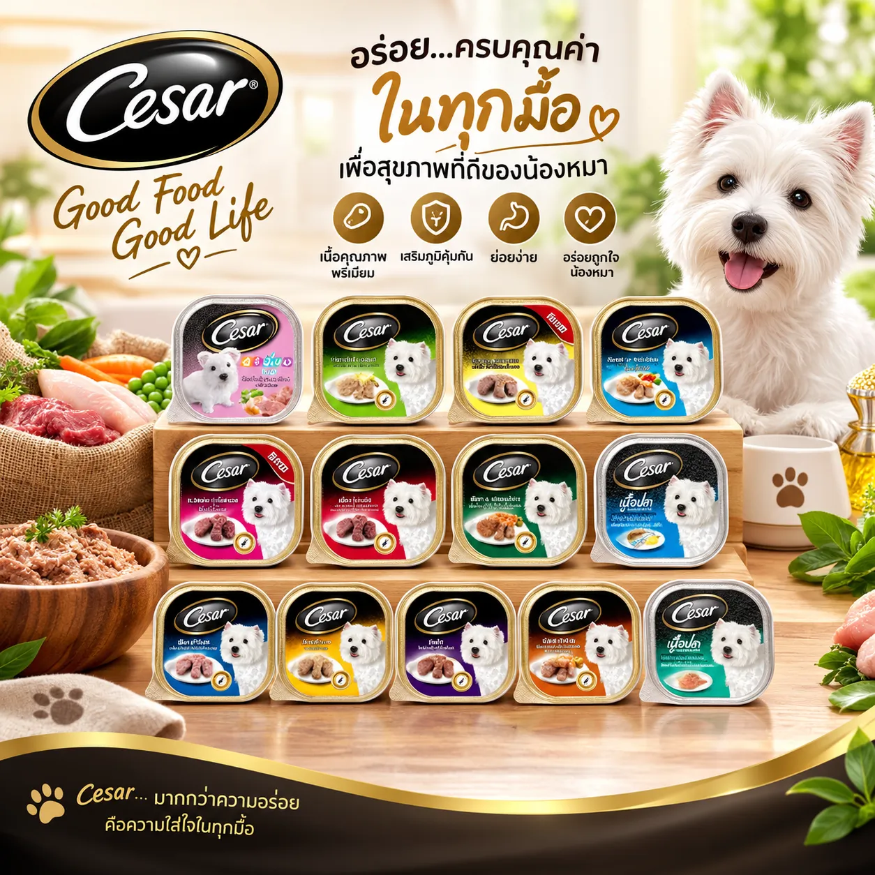 Cesar Tray อาหารเปียกสุนัขแบบถาด 100 g