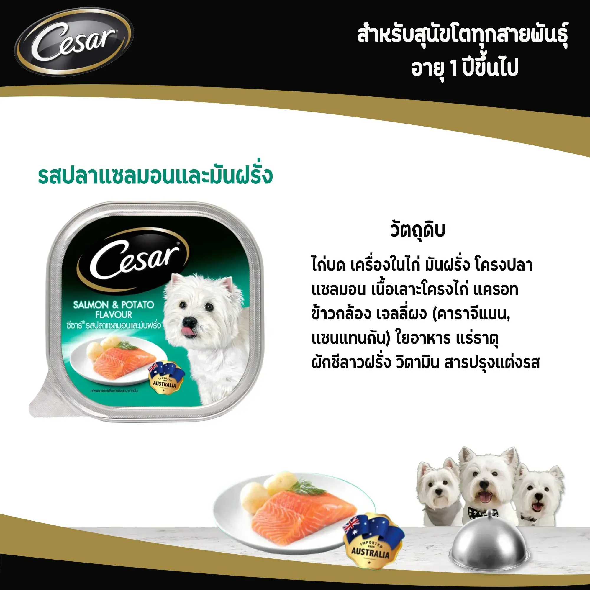 Cesar Tray อาหารเปียกสุนัขแบบถาด 100 g
