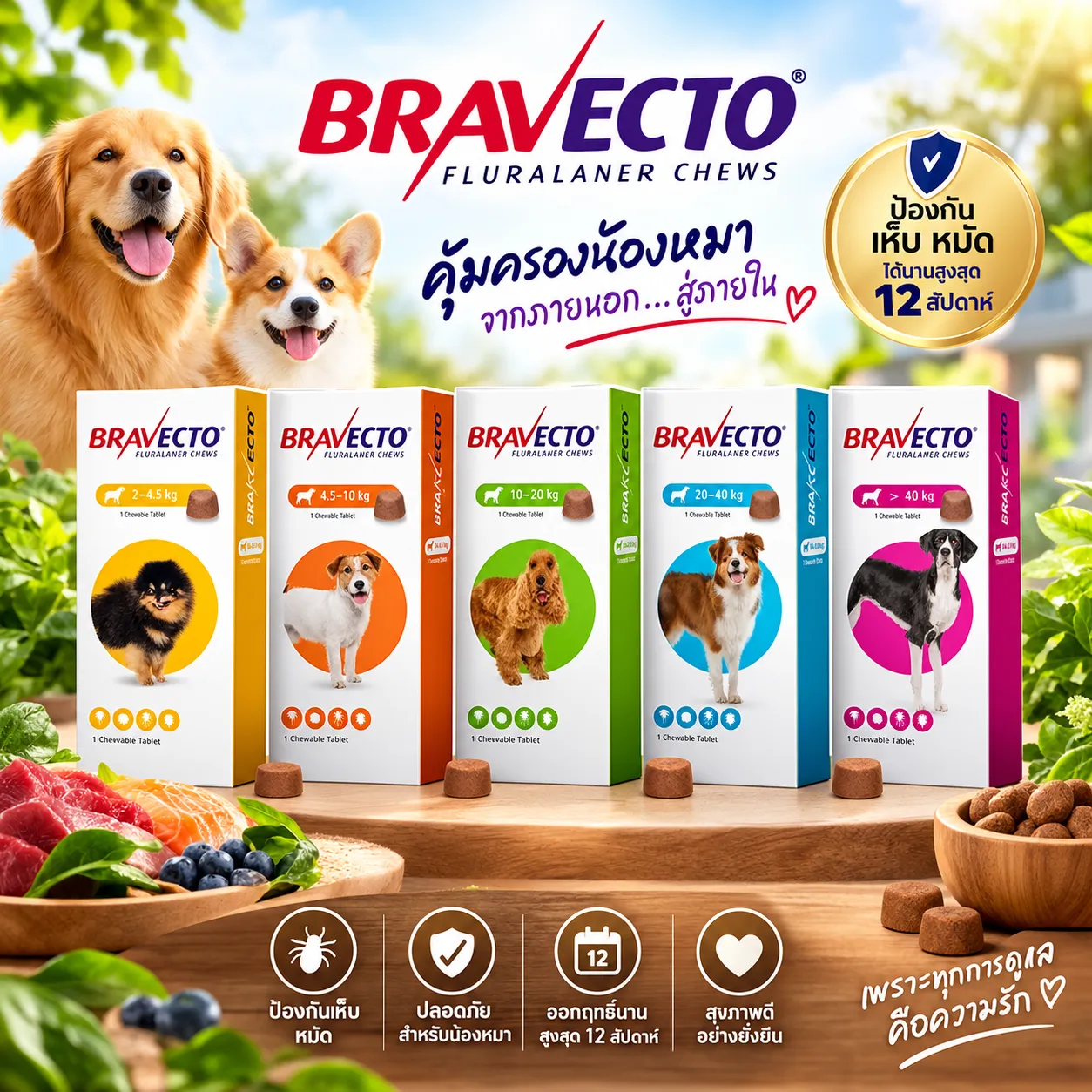 Bravecto สำหรับสุนัข