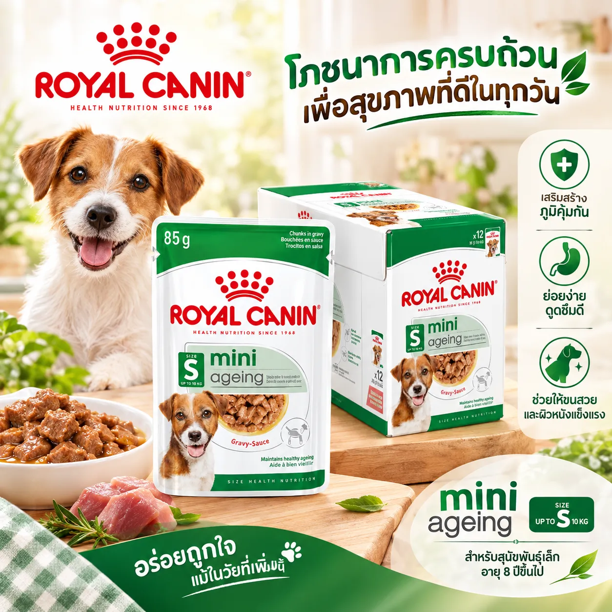 Royal Canin Pouch อาหารเปียกสุนัข สูตร Mini Ageing สำหรับสุนัขโตพันธุ์เล็กสูงวัย 85g