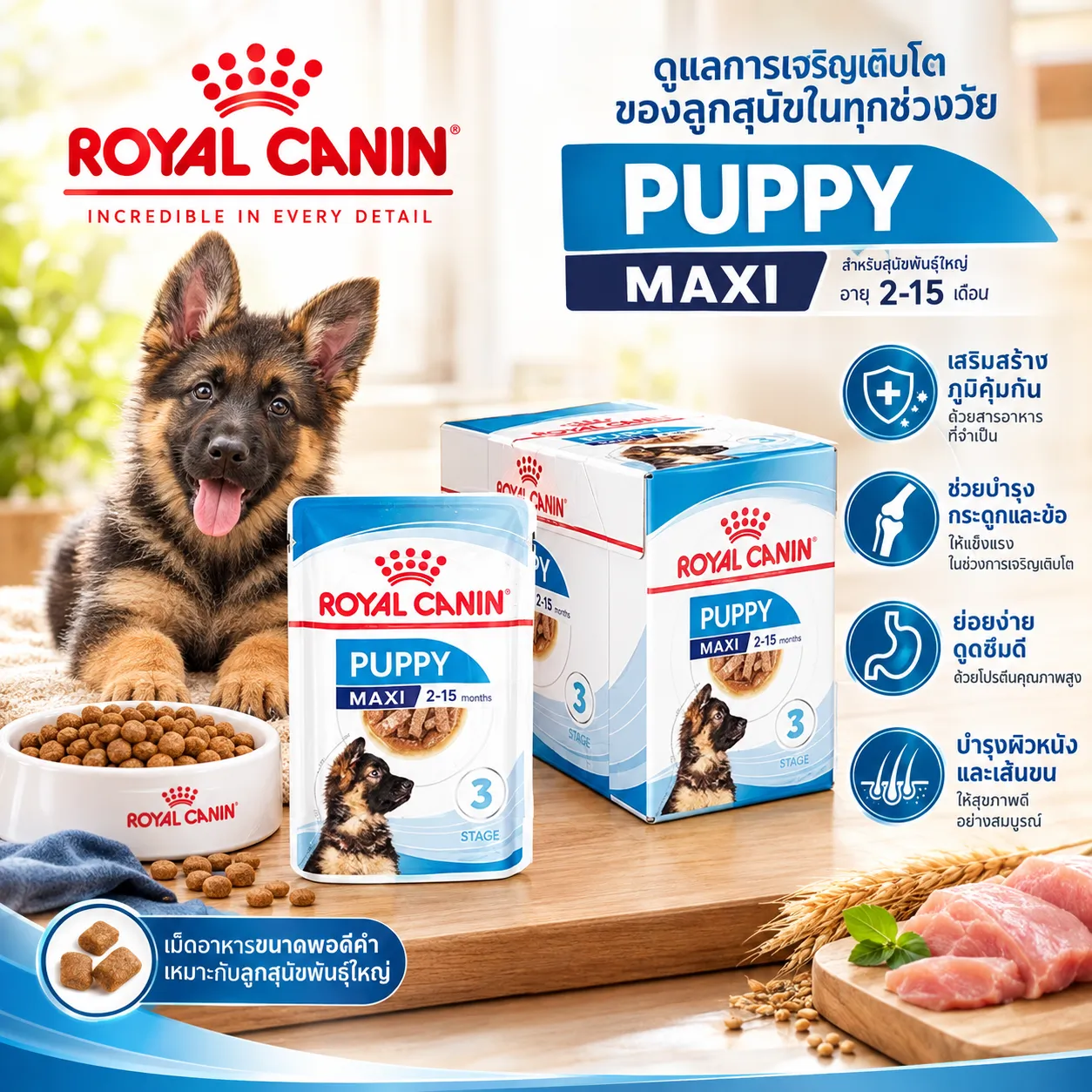 Royal Canin Pouch อาหารเปียกสุนัข สูตร Maxi Puppy สำหรับลูกสุนัขพันธุ์ใหญ่ 140 g