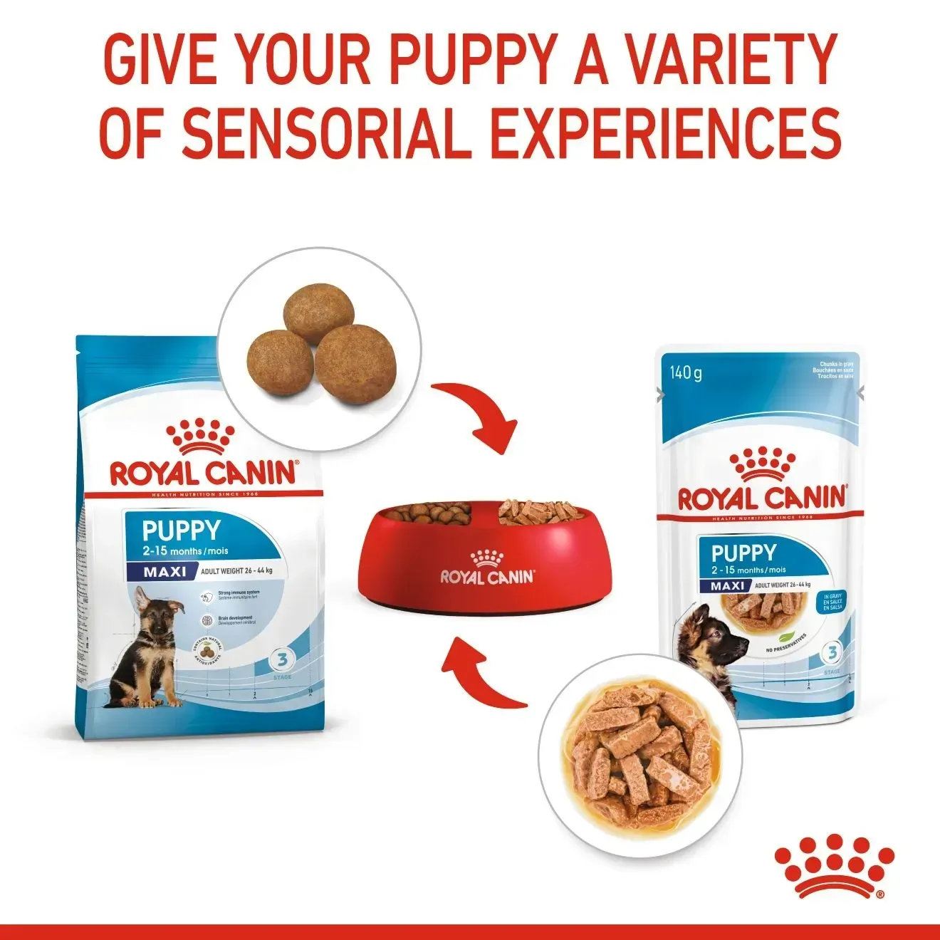 Royal Canin Pouch อาหารเปียกสุนัข สูตร Maxi Puppy สำหรับลูกสุนัขพันธุ์ใหญ่ 140 g